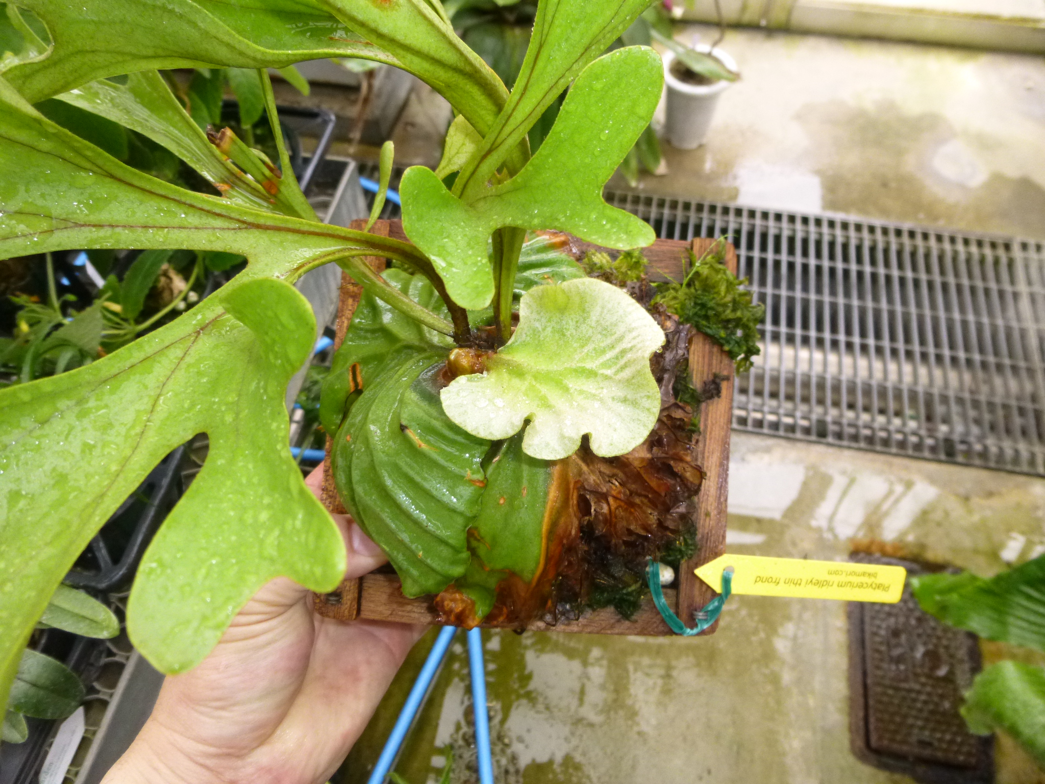 JPG 2048x1536 2381.5kb