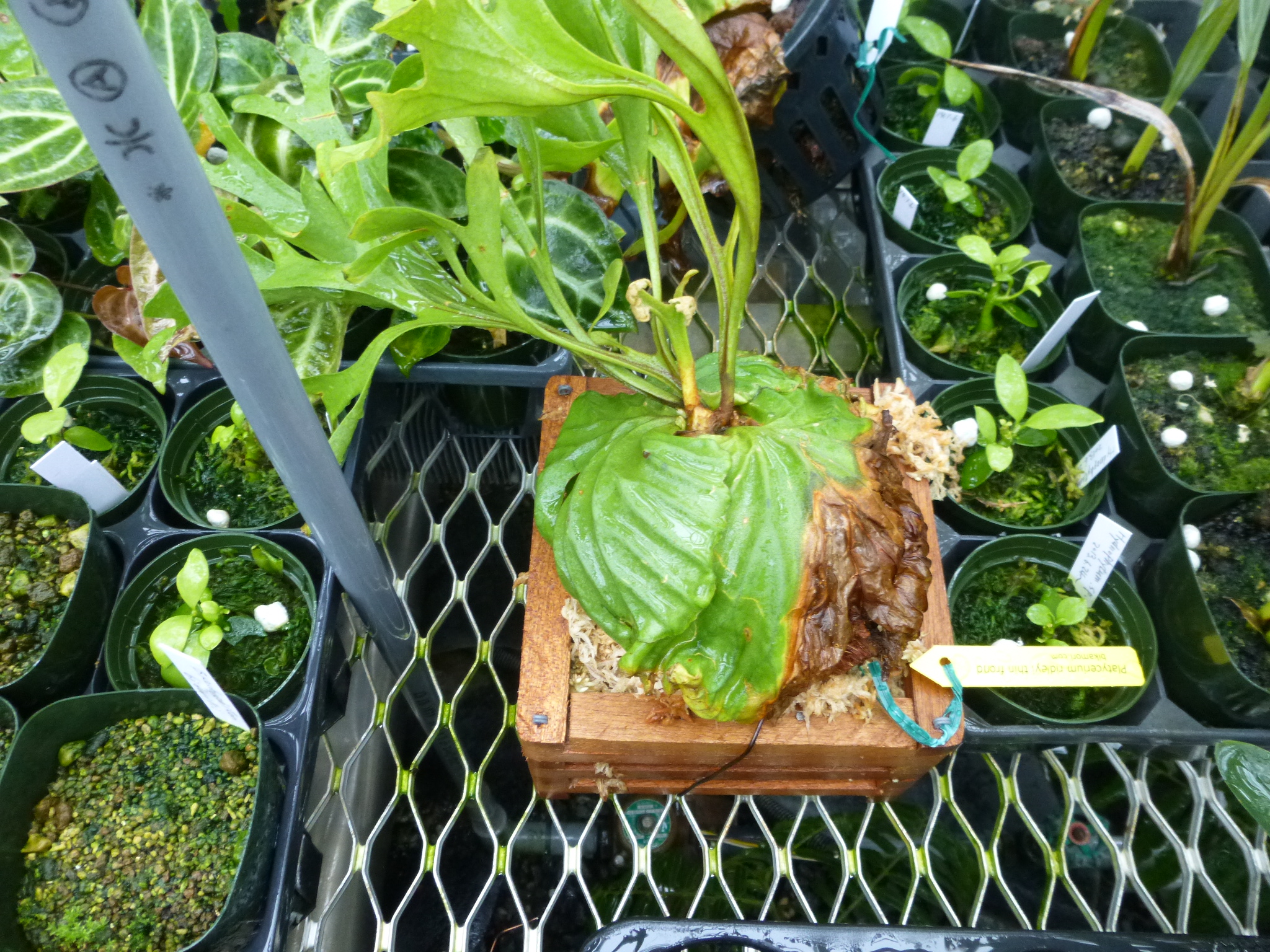 JPG 2048x1536 2361.5kb