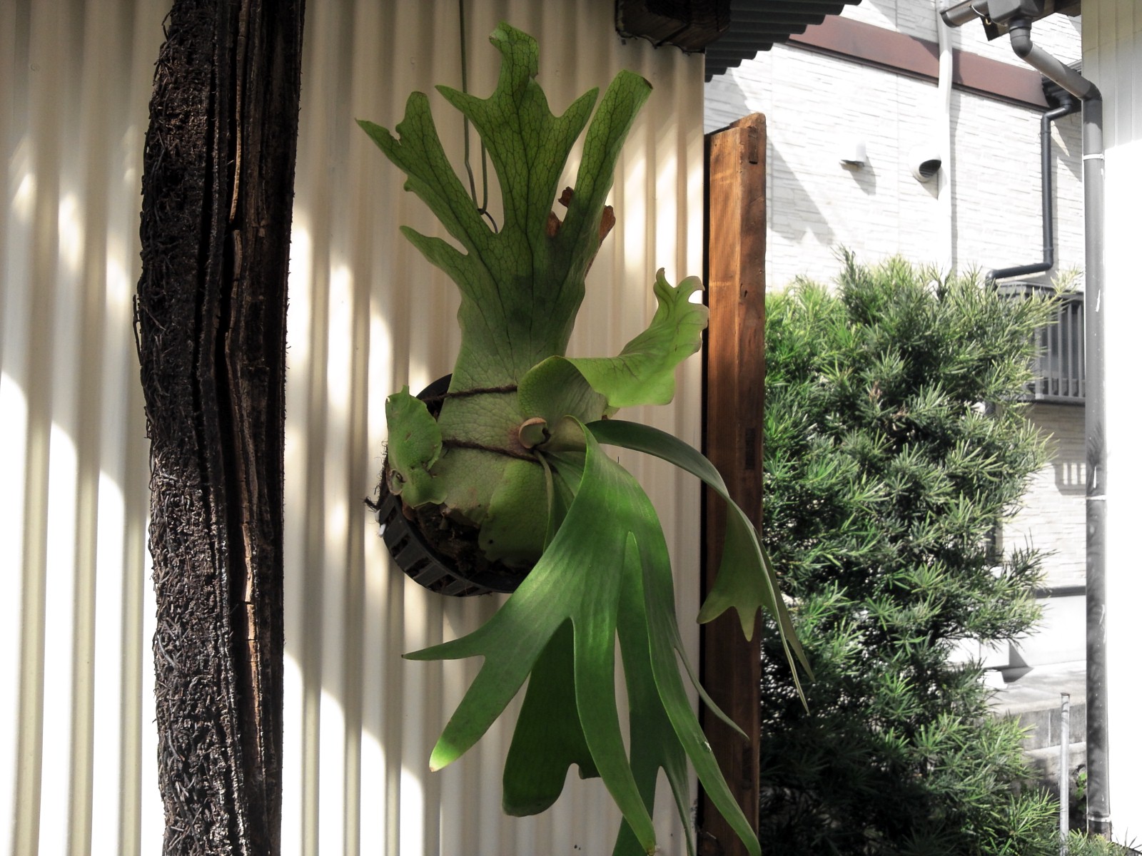 JPG 1600x1200 442.6kb