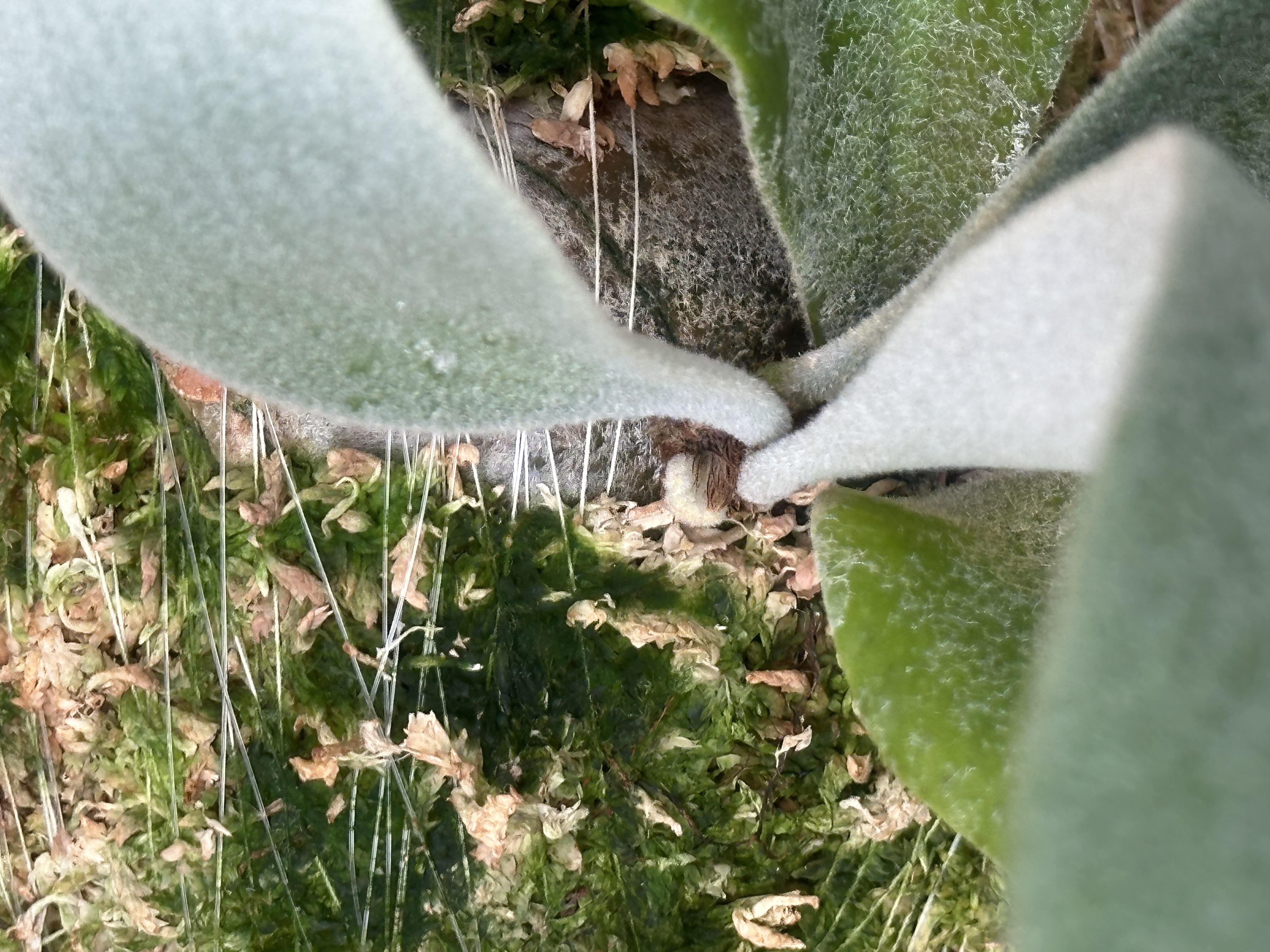 JPG 4032x3024 2543.4kb