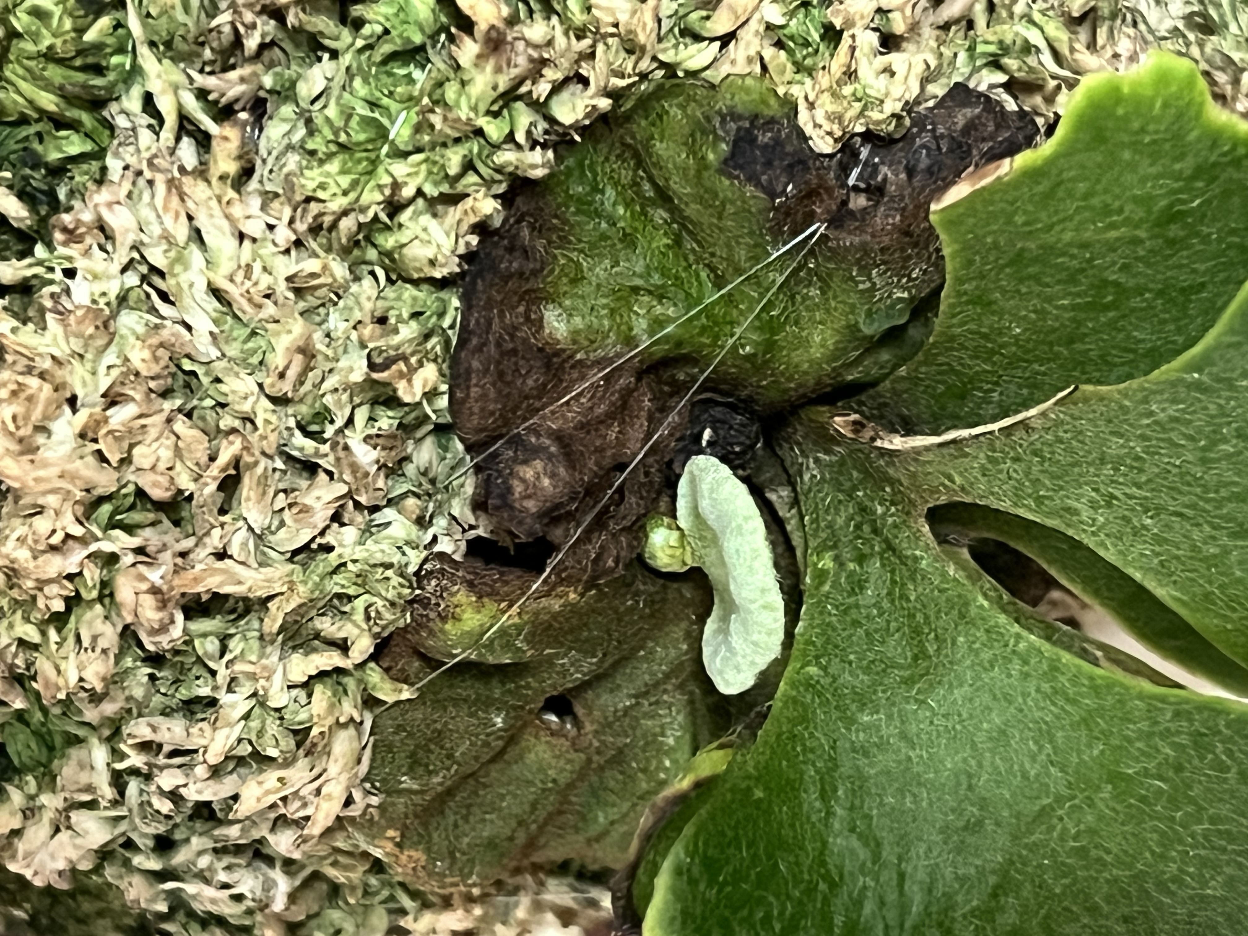 JPG 4032x3024 2410.7kb