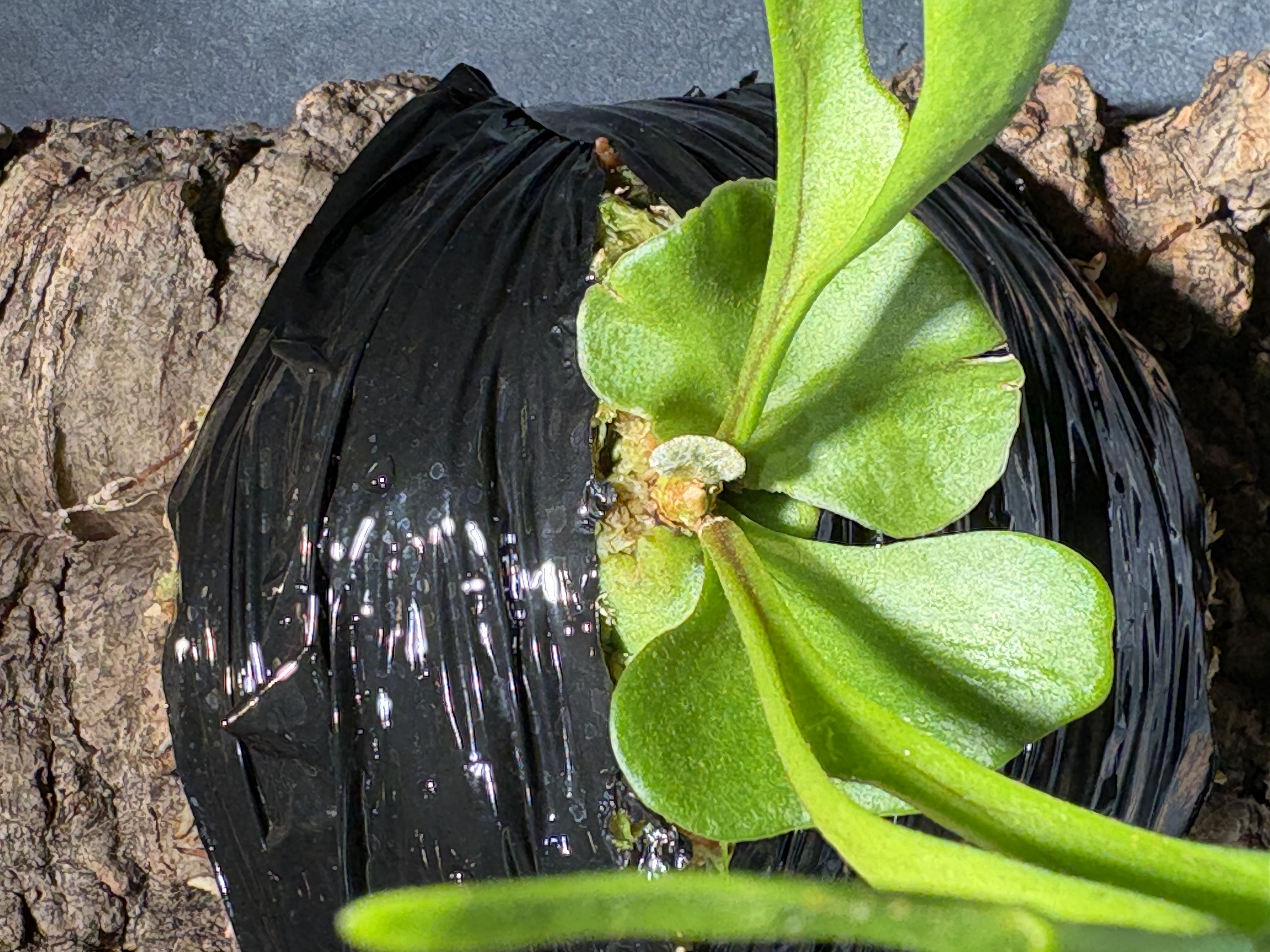 JPG 4032x3024 2485.2kb