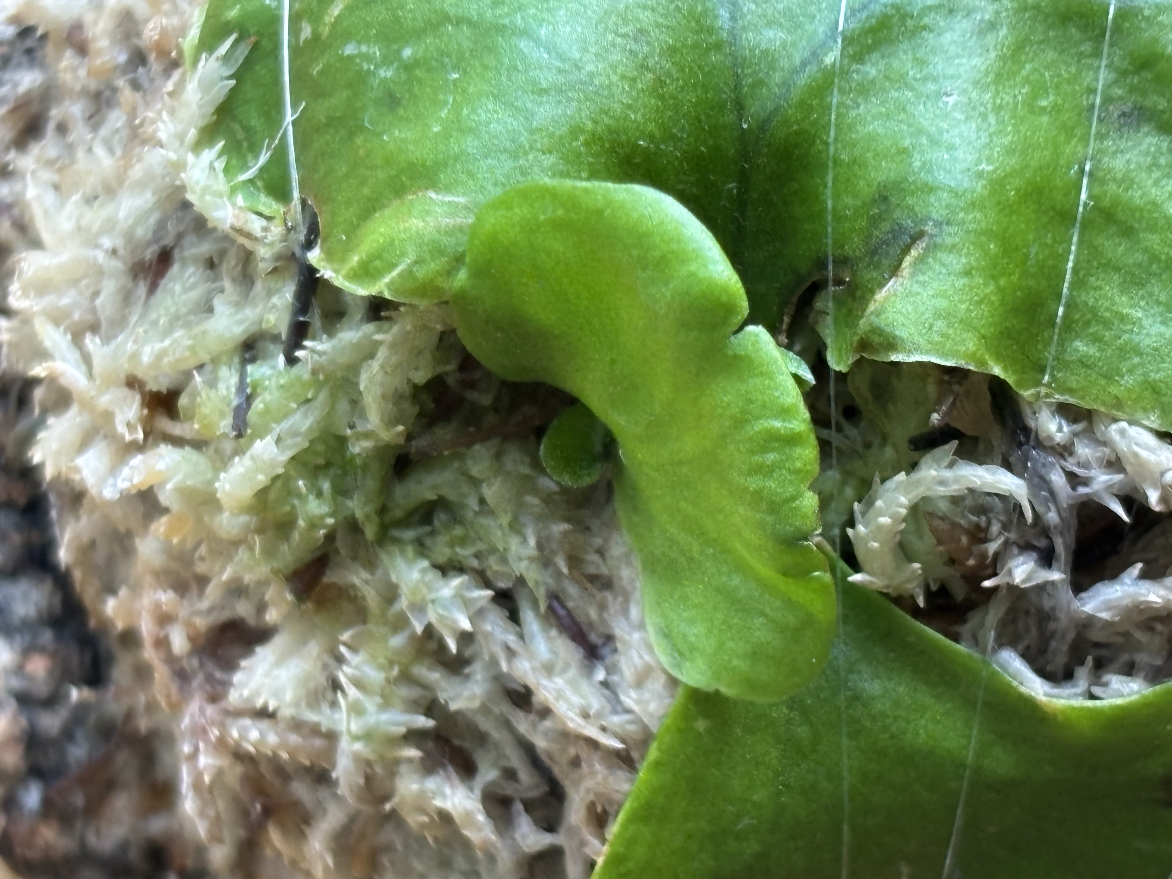 JPG 4032x3024 1710.5kb