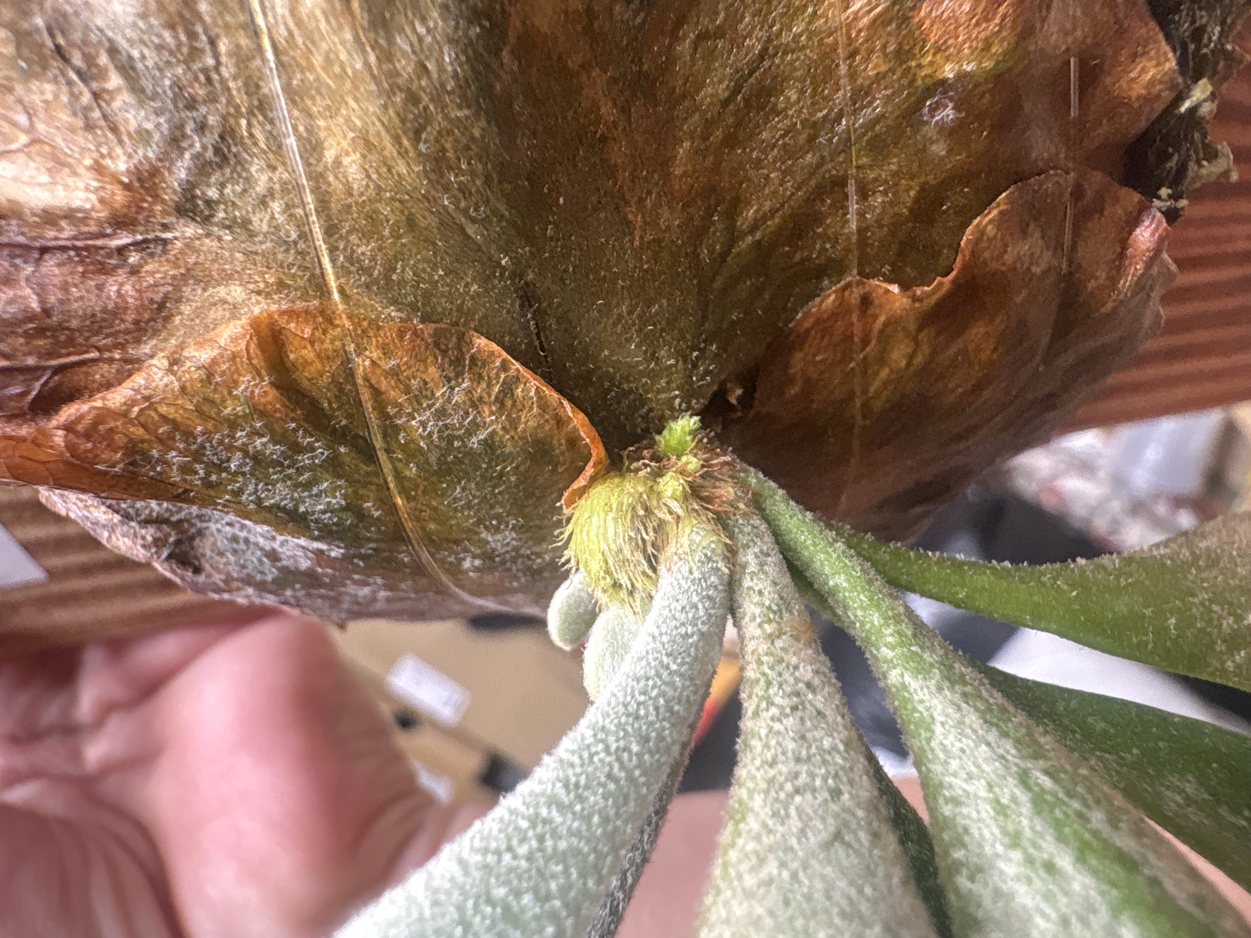 JPG 4032x3024 2495.9kb