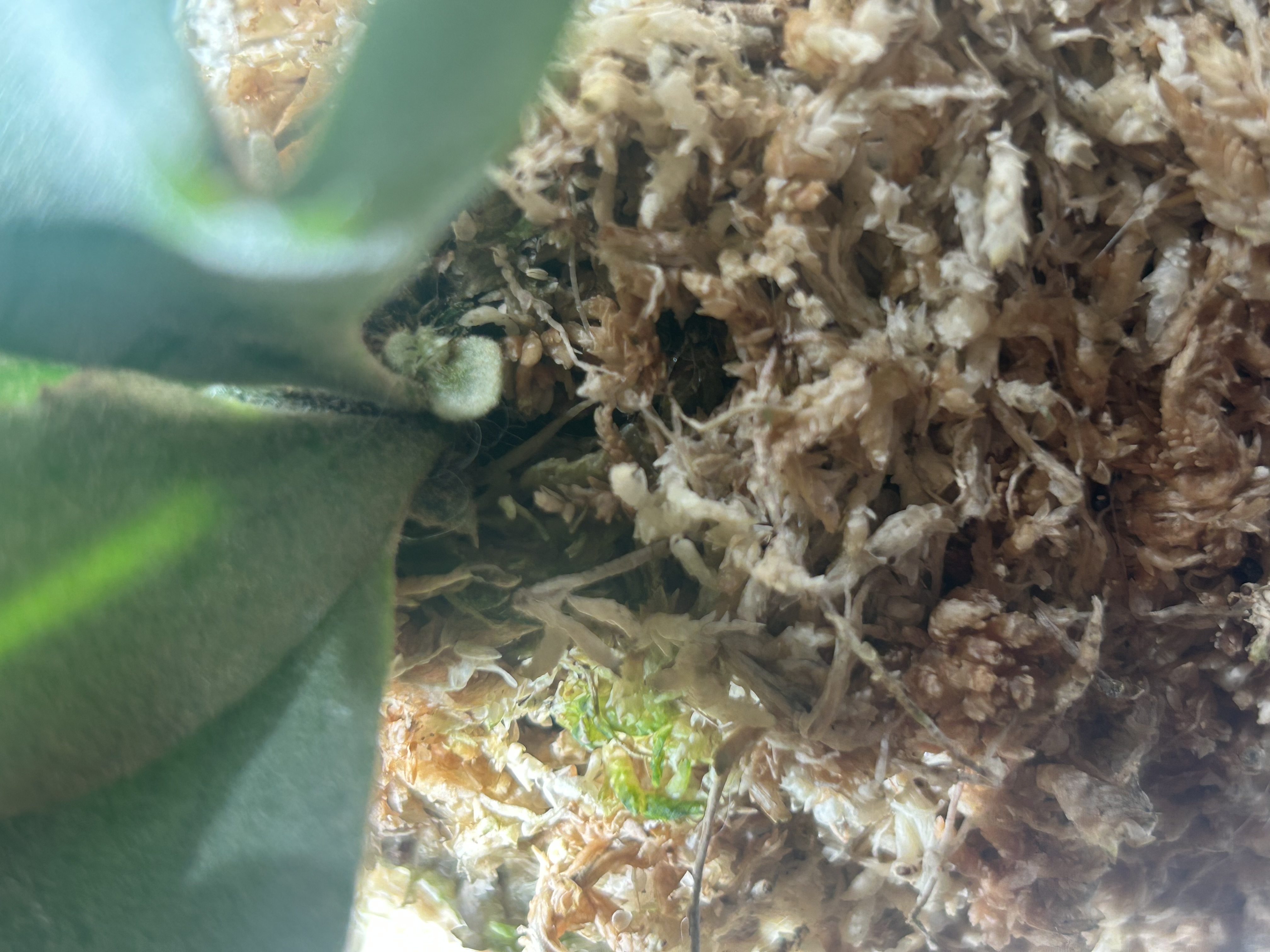 JPG 4032x3024 1803.6kb