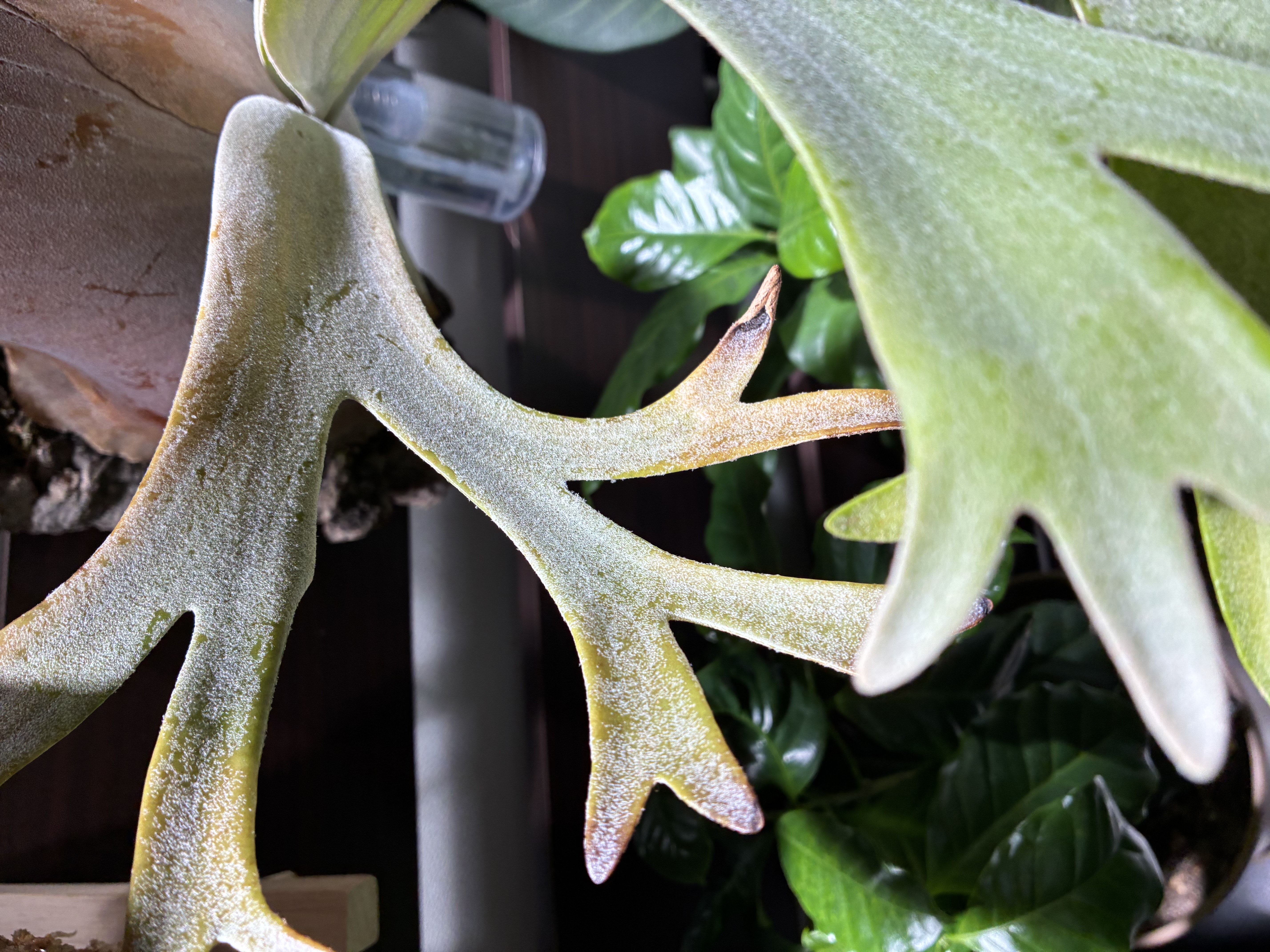 JPG 5712x4284 3964.8kb