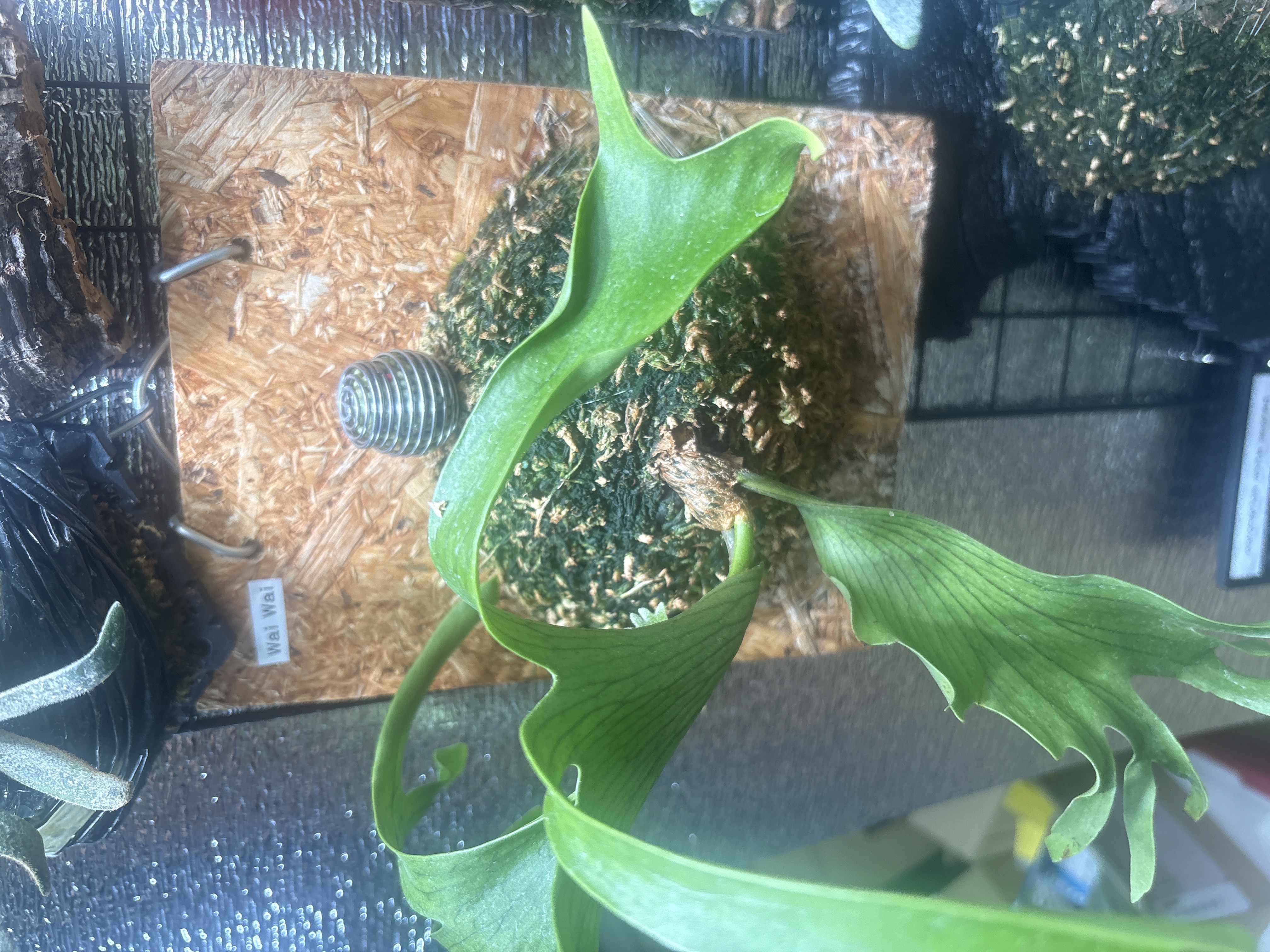 JPG 4032x3024 3353.5kb