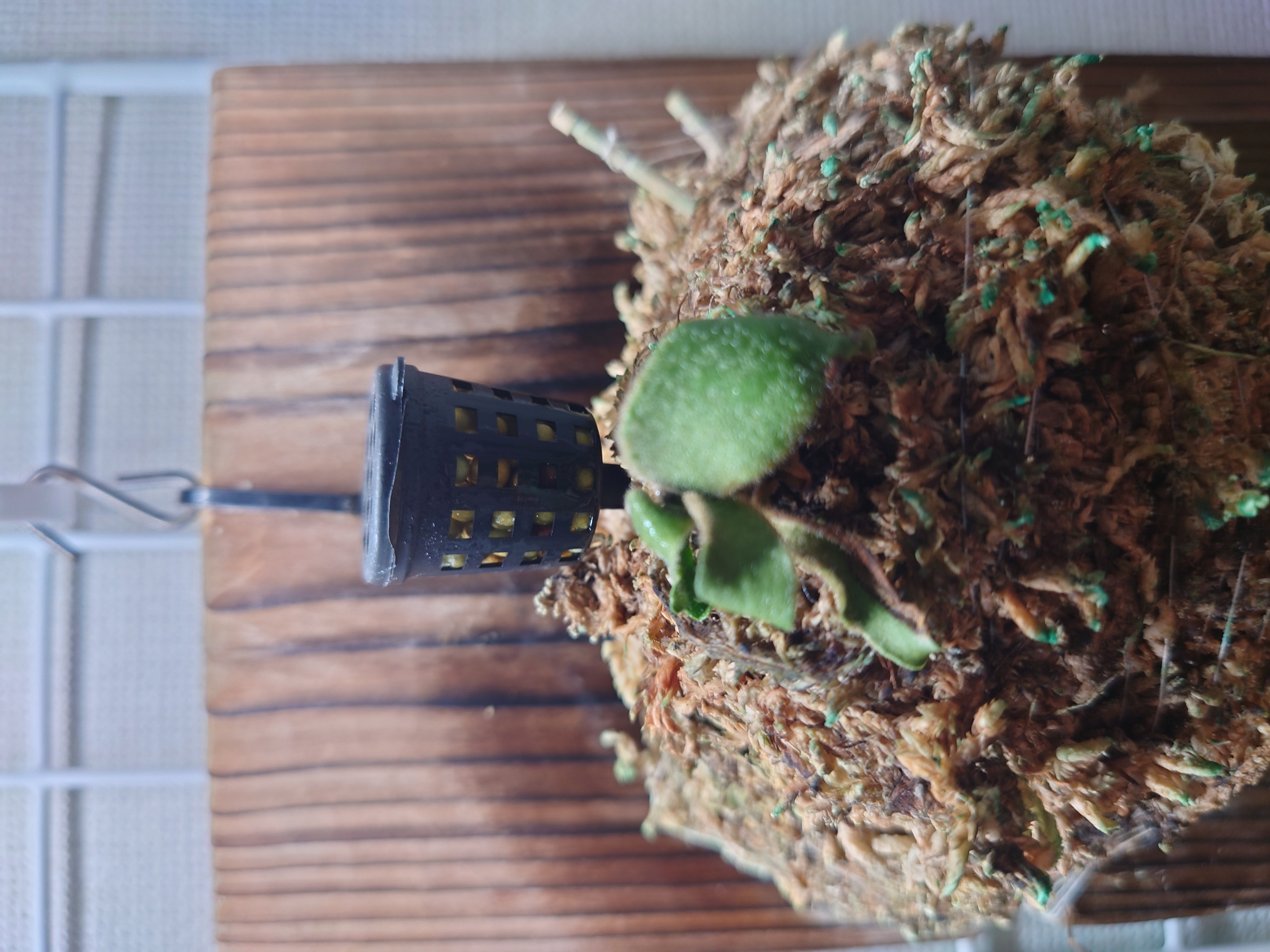 JPG 4032x3024 2001.2kb