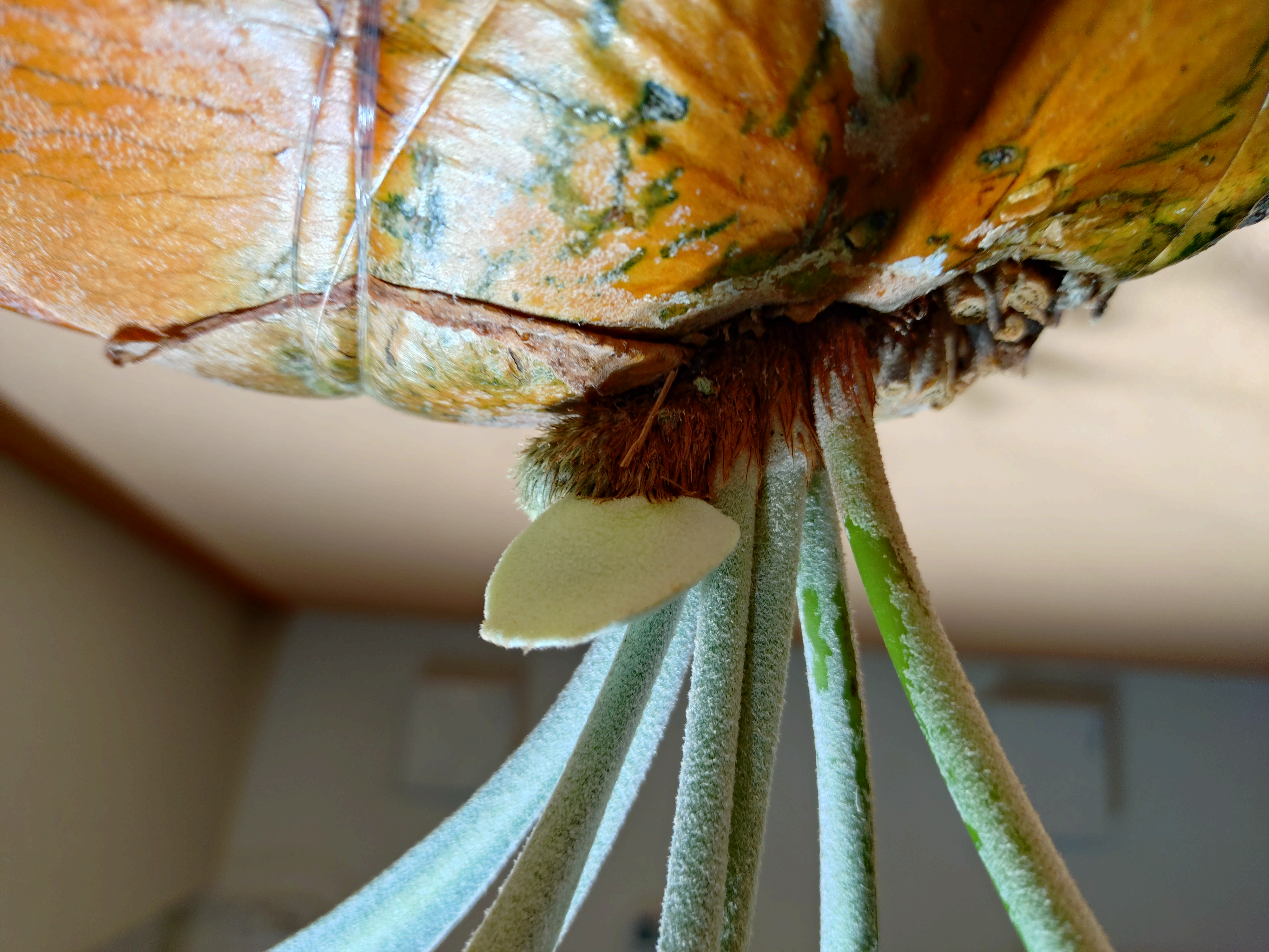 JPG 4000x3000 2310.0kb