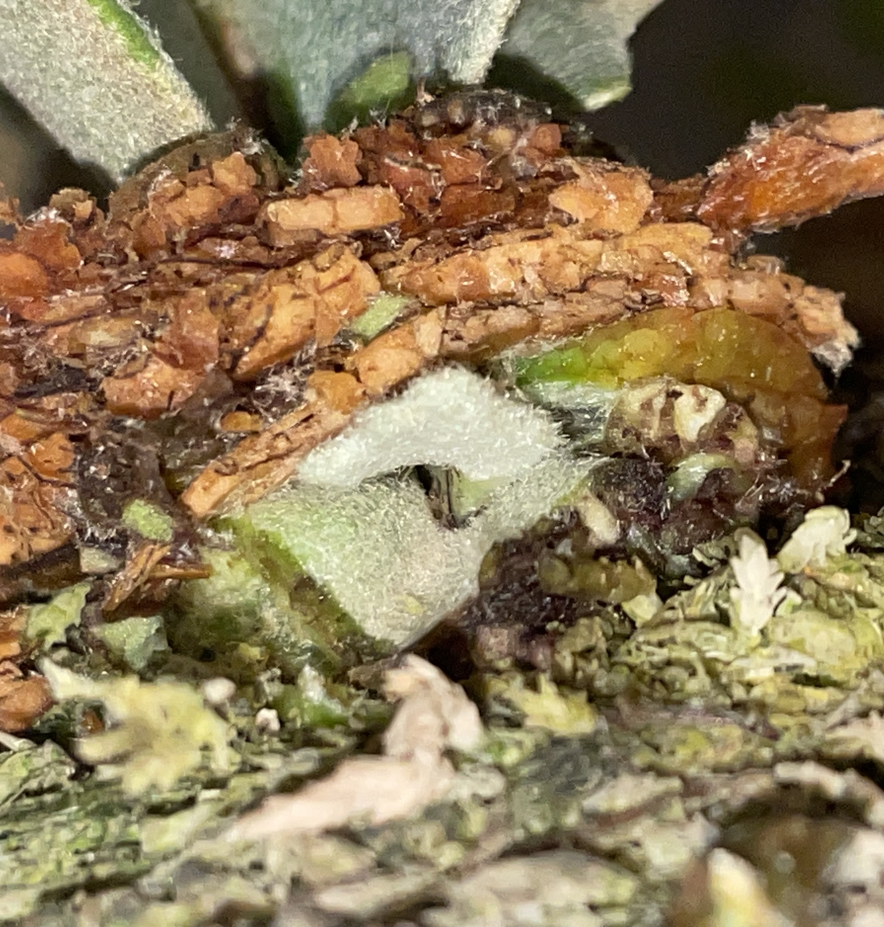 JPG 2886x3024 1495.2kb