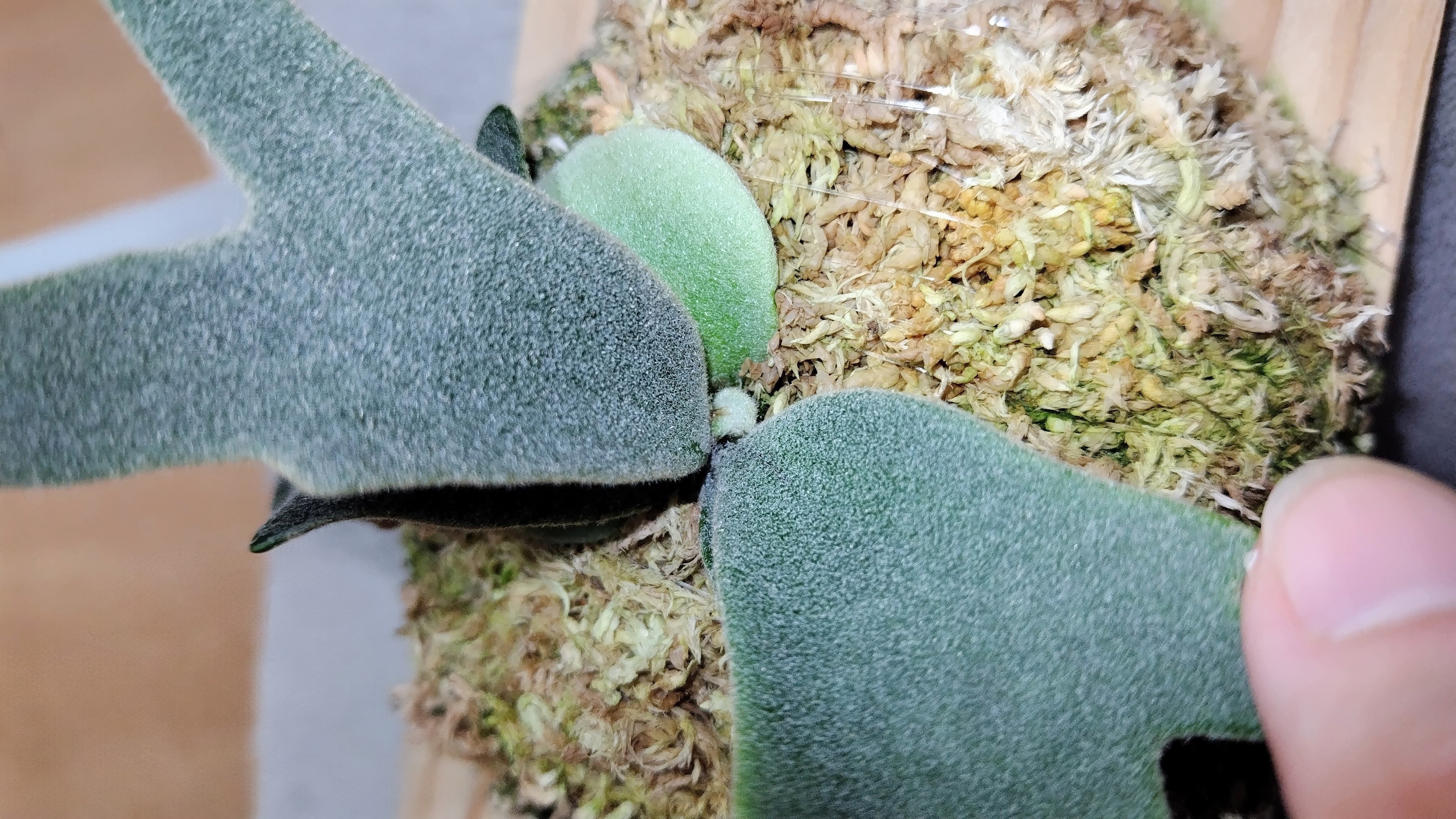 JPG 4096x2304 2303.5kb