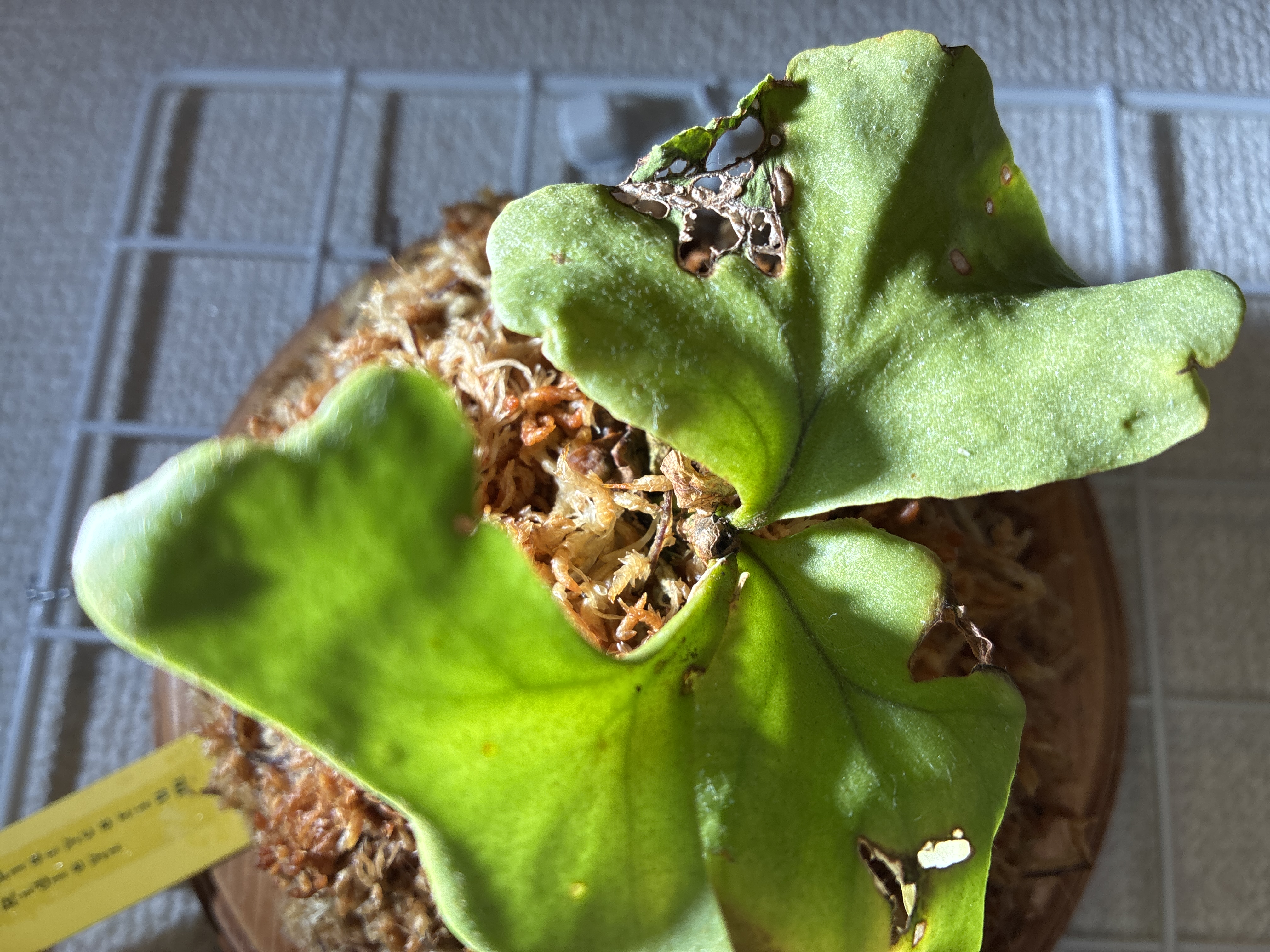 JPG 4032x3024 2900.9kb