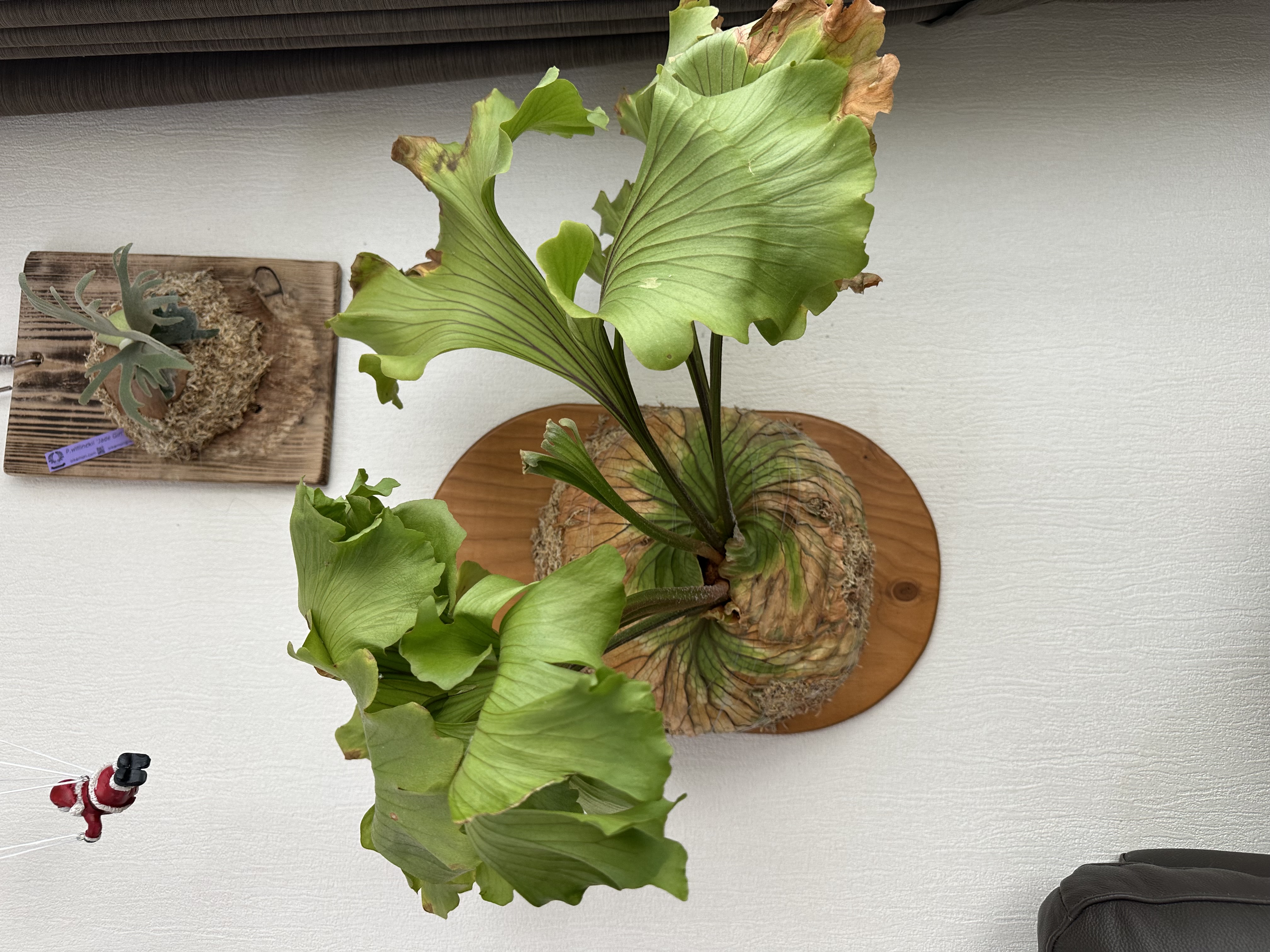 JPG 4032x3024 2916.2kb