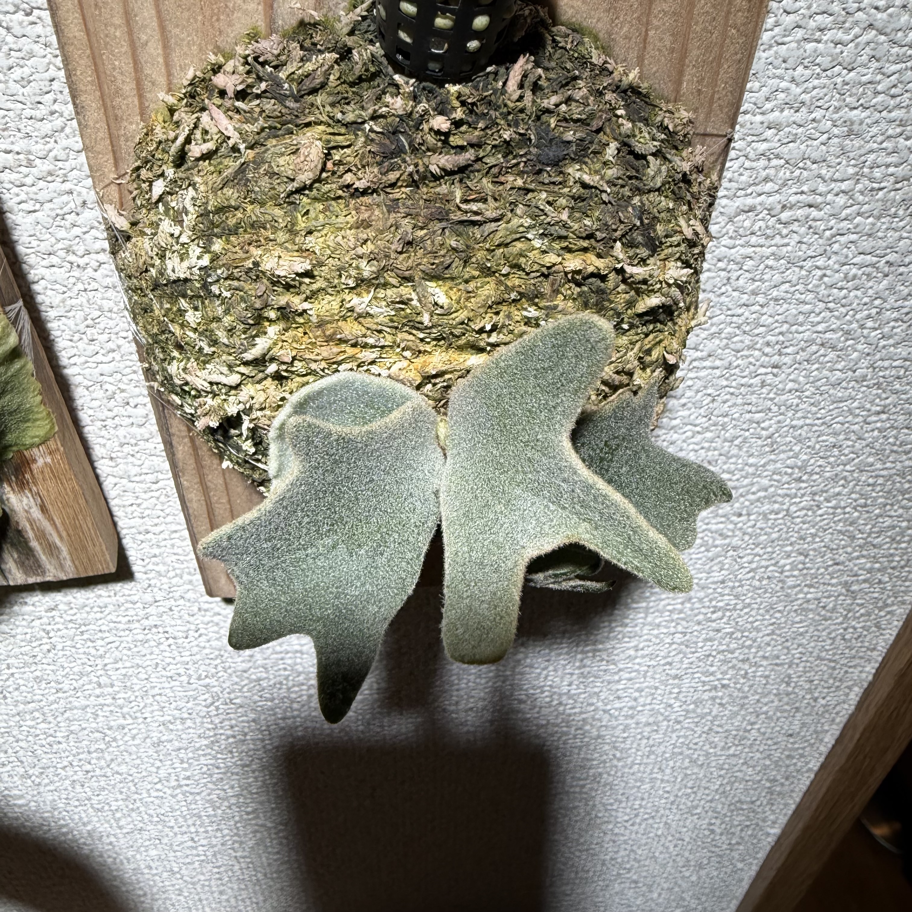 JPG 3024x3024 3239.3kb