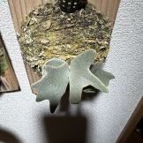 JPG 3024x3024 3239.3kb