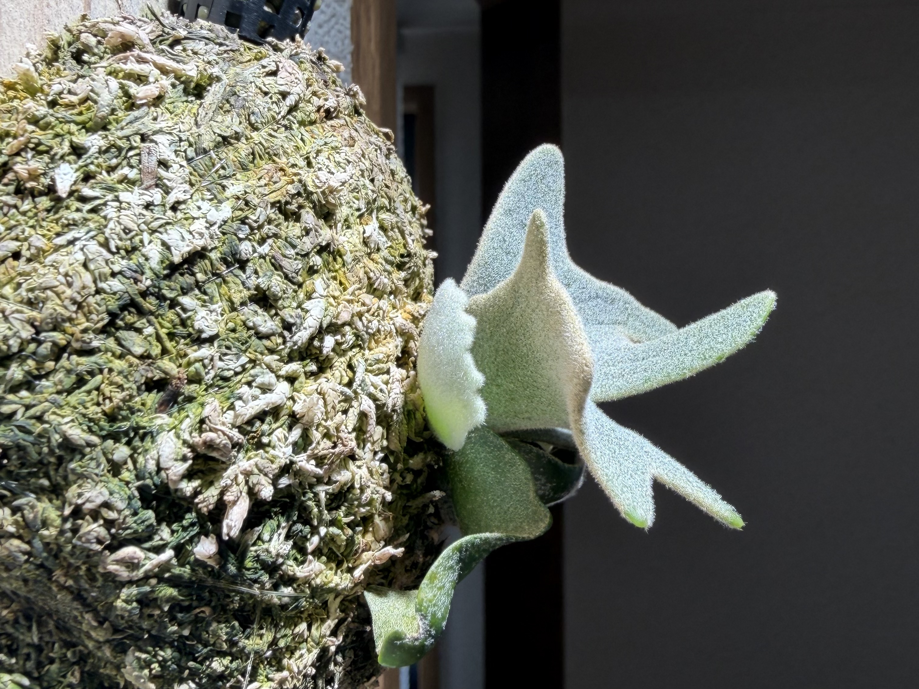 JPG 3024x2268 1876.9kb