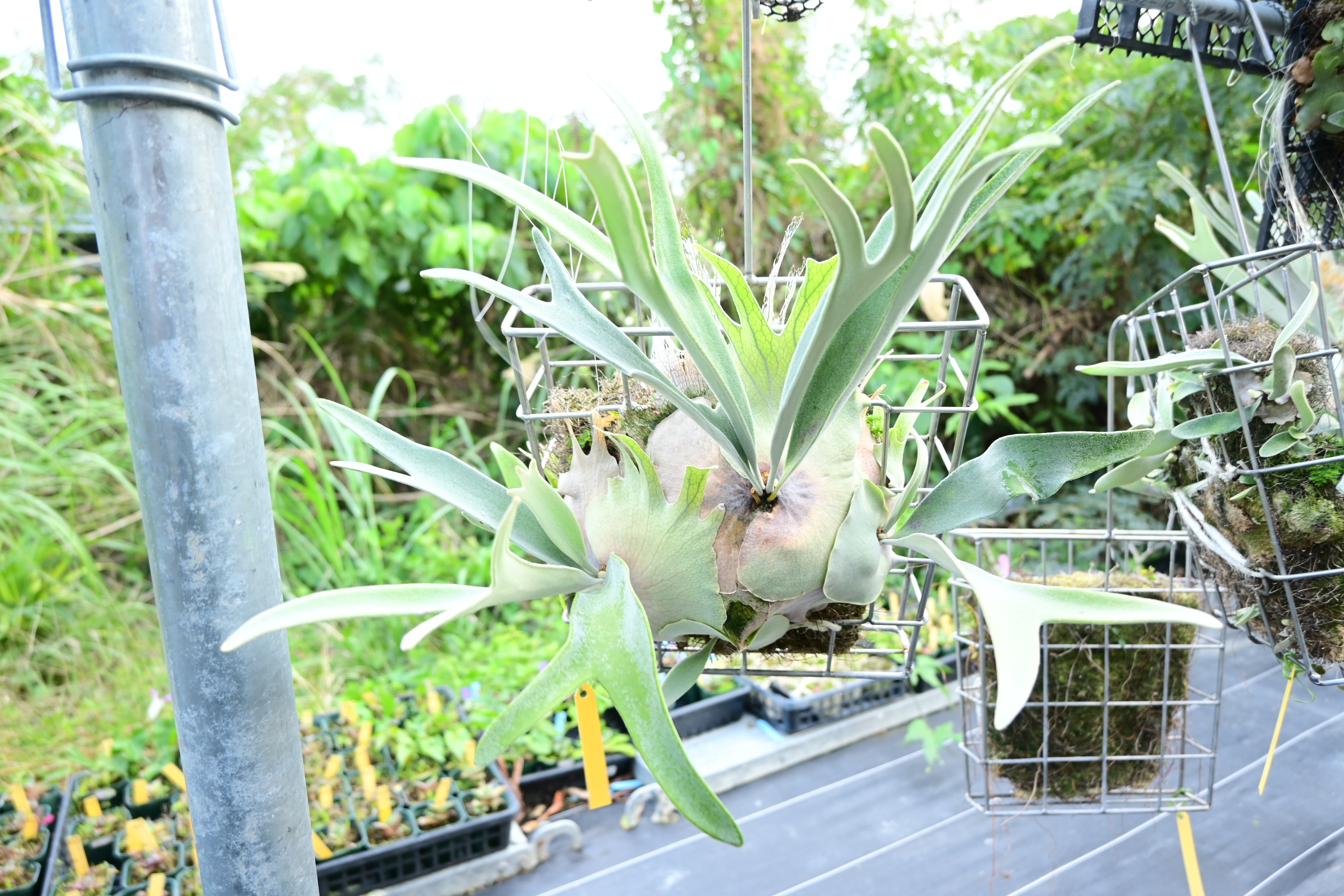 JPG 2784x1856 3618.1kb