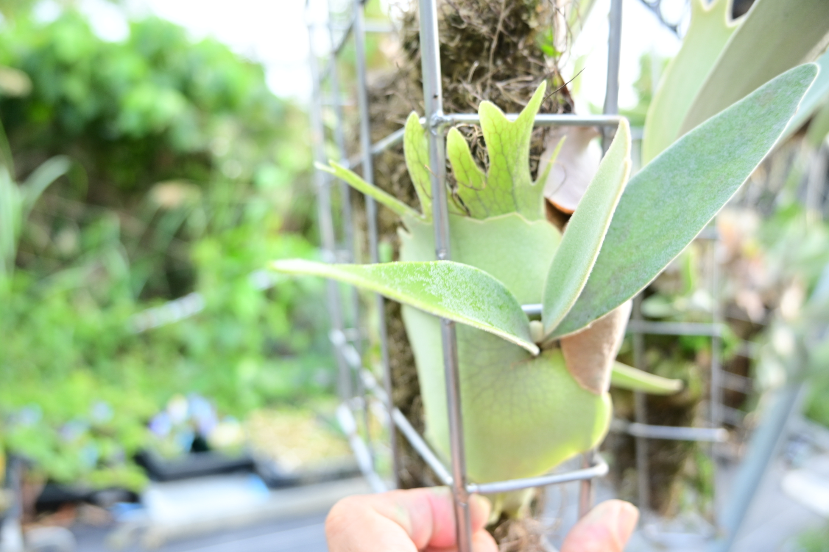 JPG 2784x1856 2657.5kb