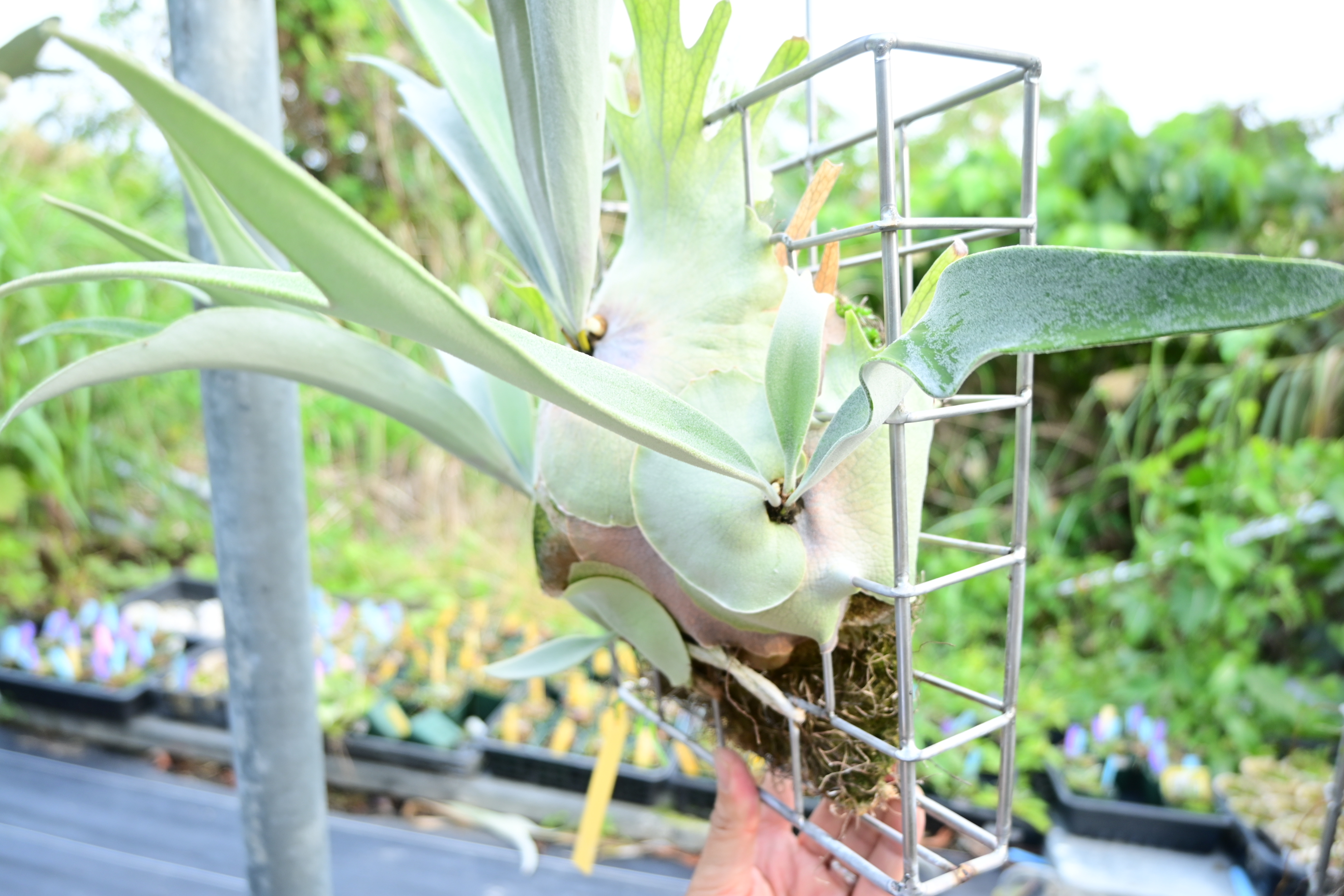 JPG 2784x1856 3013.9kb