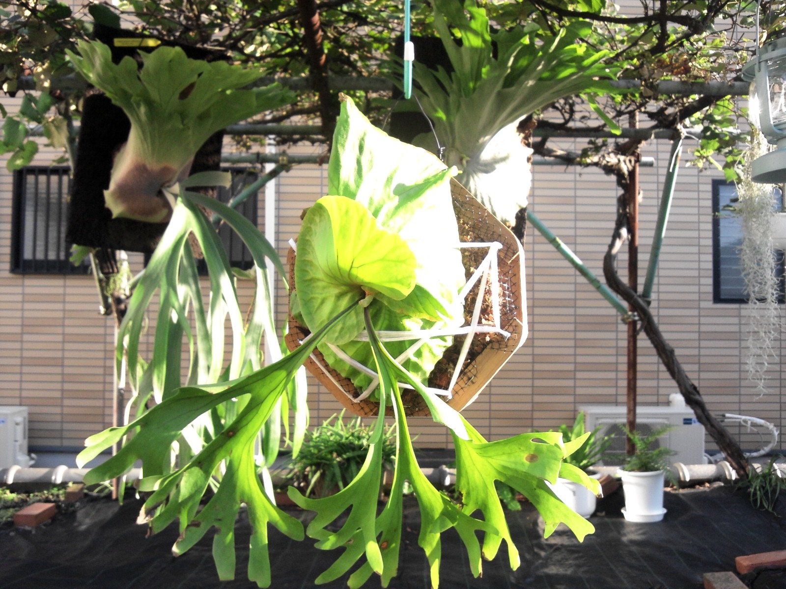 JPG 1600x1200 478.9kb