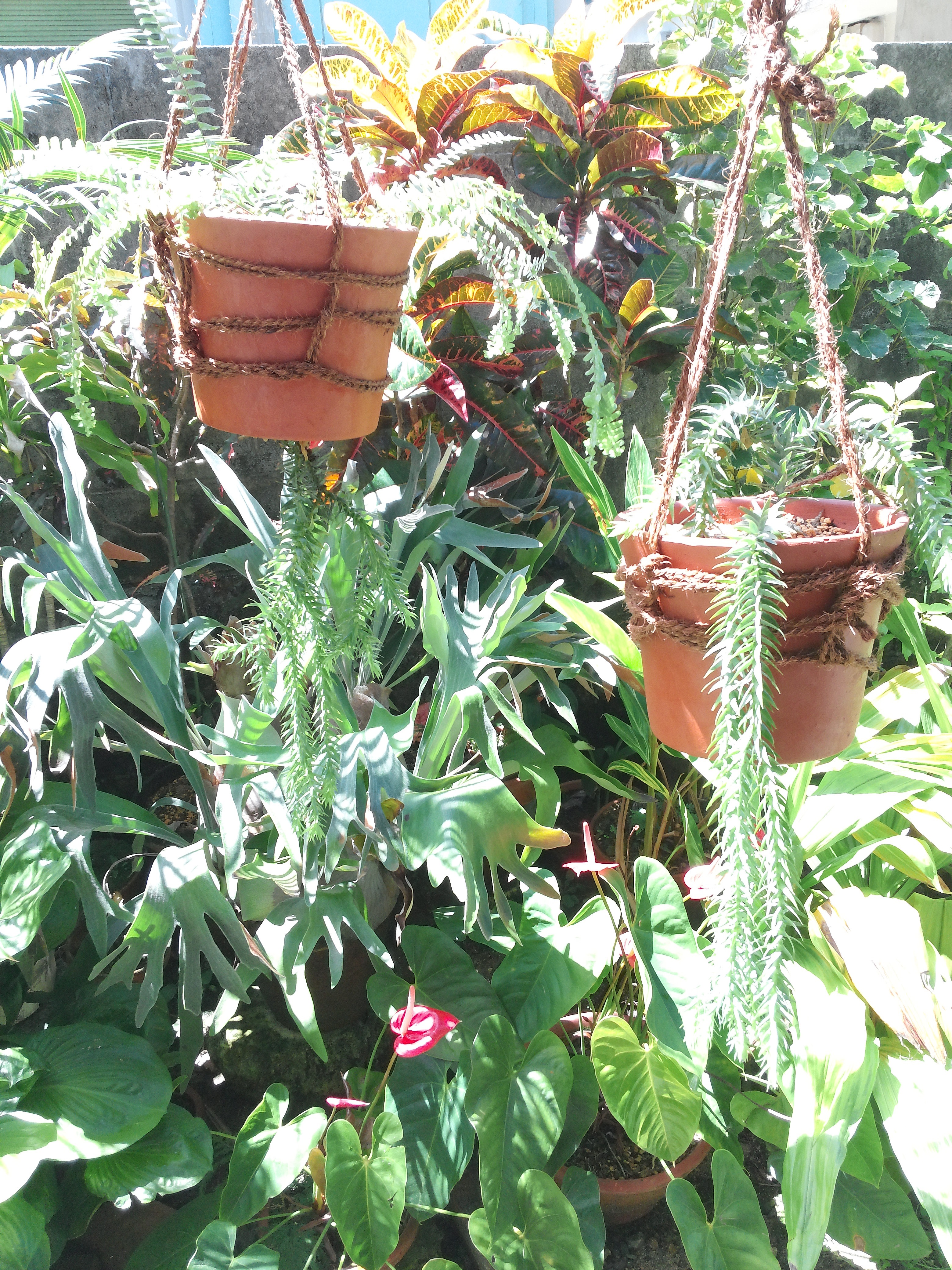 JPG 3120x4160 4652.8kb